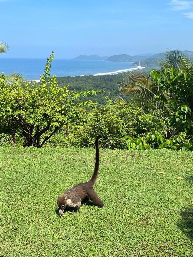Sweet Jungle Beach Playa Bejuco  Bagian luar foto